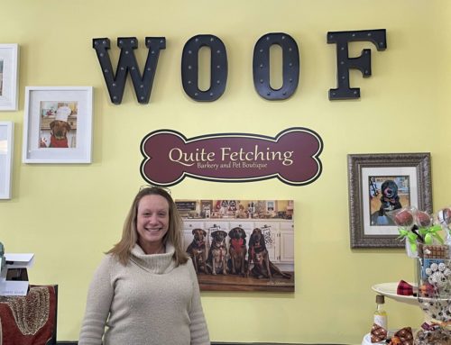 Quite Fetching: Making Sweet Treats for Dogs